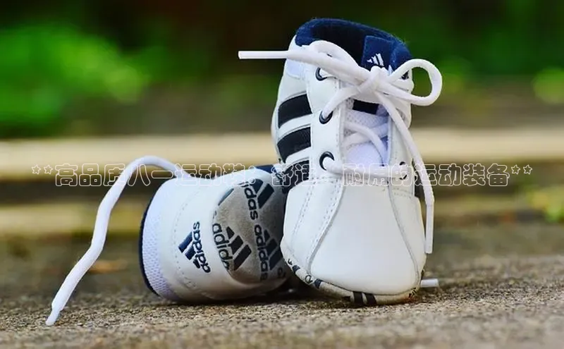 b体育下载入口app百度学术**高品质八一运动鞋：舒适、耐用的运动装备**