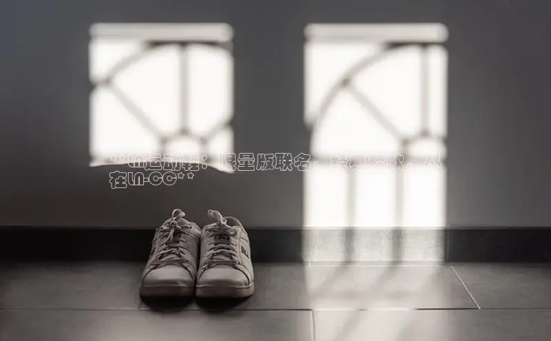 B体育网页版在线登录官网如流**LN运动鞋：限量版联名、经典鞋款，尽
在LN-CC**