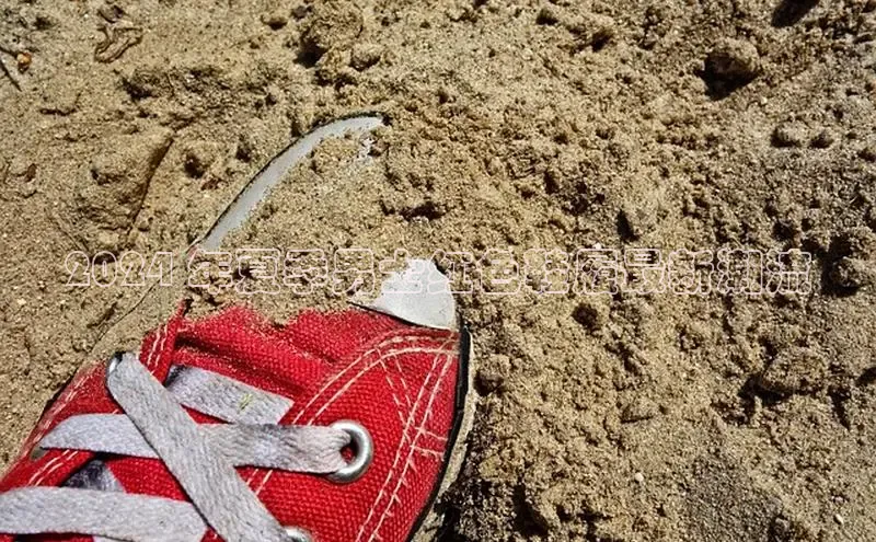 bsports官网 必一运动巴美列捷福2024 年夏季男士红色鞋履最新潮流