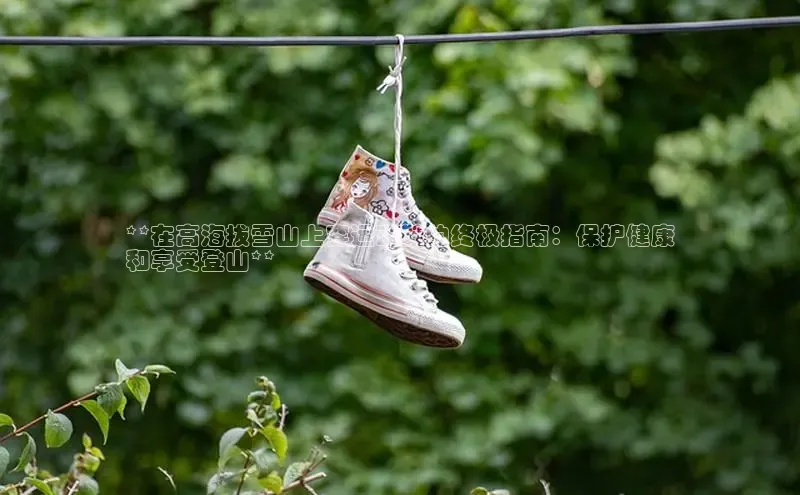 Bsports网页版登录入口彩讯股份**在高海拔雪山上穿运动鞋的终极指南：保护健康
和享受登山**
