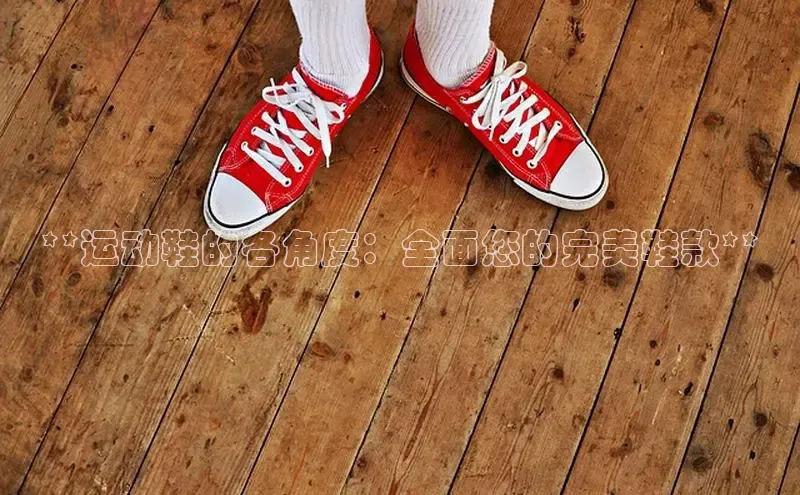 必一体育网页入口度小满理财**运动鞋的各角度：全面您的完美鞋款**