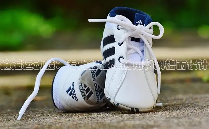 b体育登录入口app下载安装免费58同城逍遥运动鞋：专为舒适、耐用和风格而设计