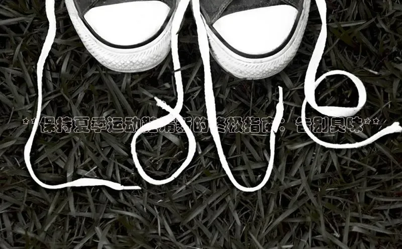 b体育在线登录网页版华扬联众**保持夏季运动鞋清新的终极指南：告别臭味**
