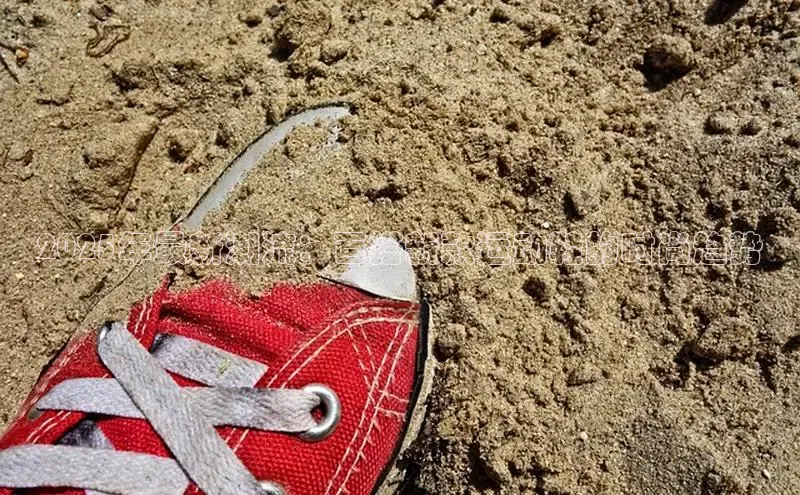 2025年最新潮流：百搭新款运动鞋的时尚趋势