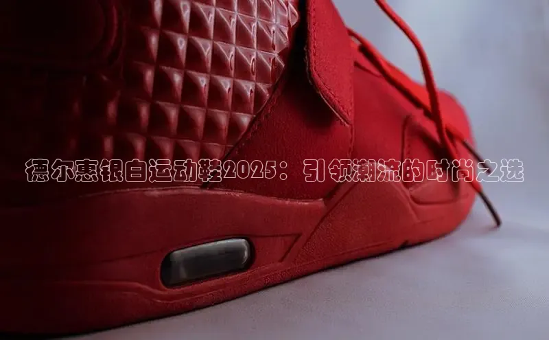 德尔惠银白运动鞋2025：引领潮流的时尚之选