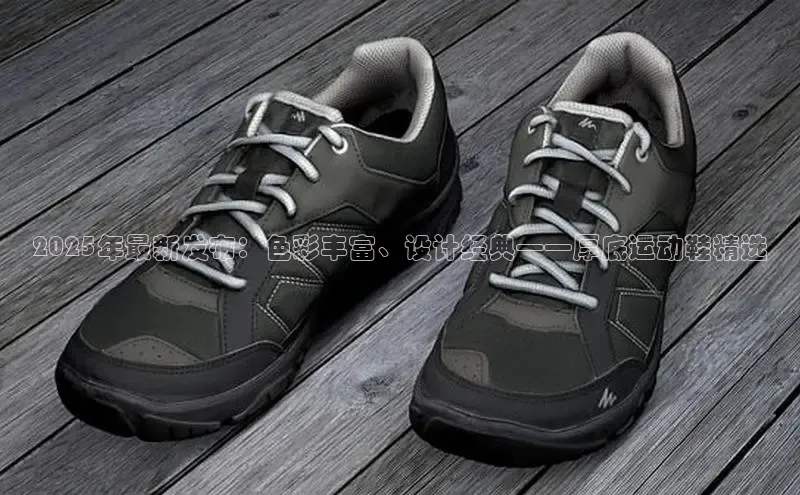 2025年最新发布：色彩丰富、设计经典——厚底运动鞋精选