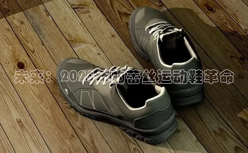 未来：2025年的蕾丝运动鞋革命