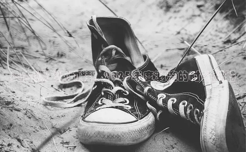 奥古狮登运动鞋：2025年度潮流的时尚利器