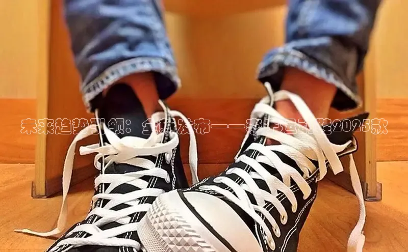 未来趋势引领：全新发布——李宁运动鞋2025款